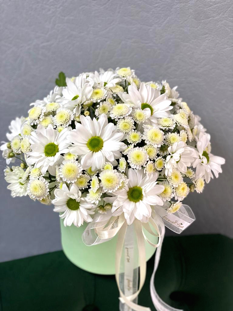 Коробка «Пандора»