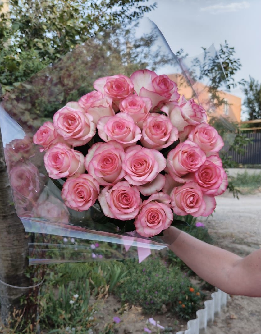 Розы «Джуди»